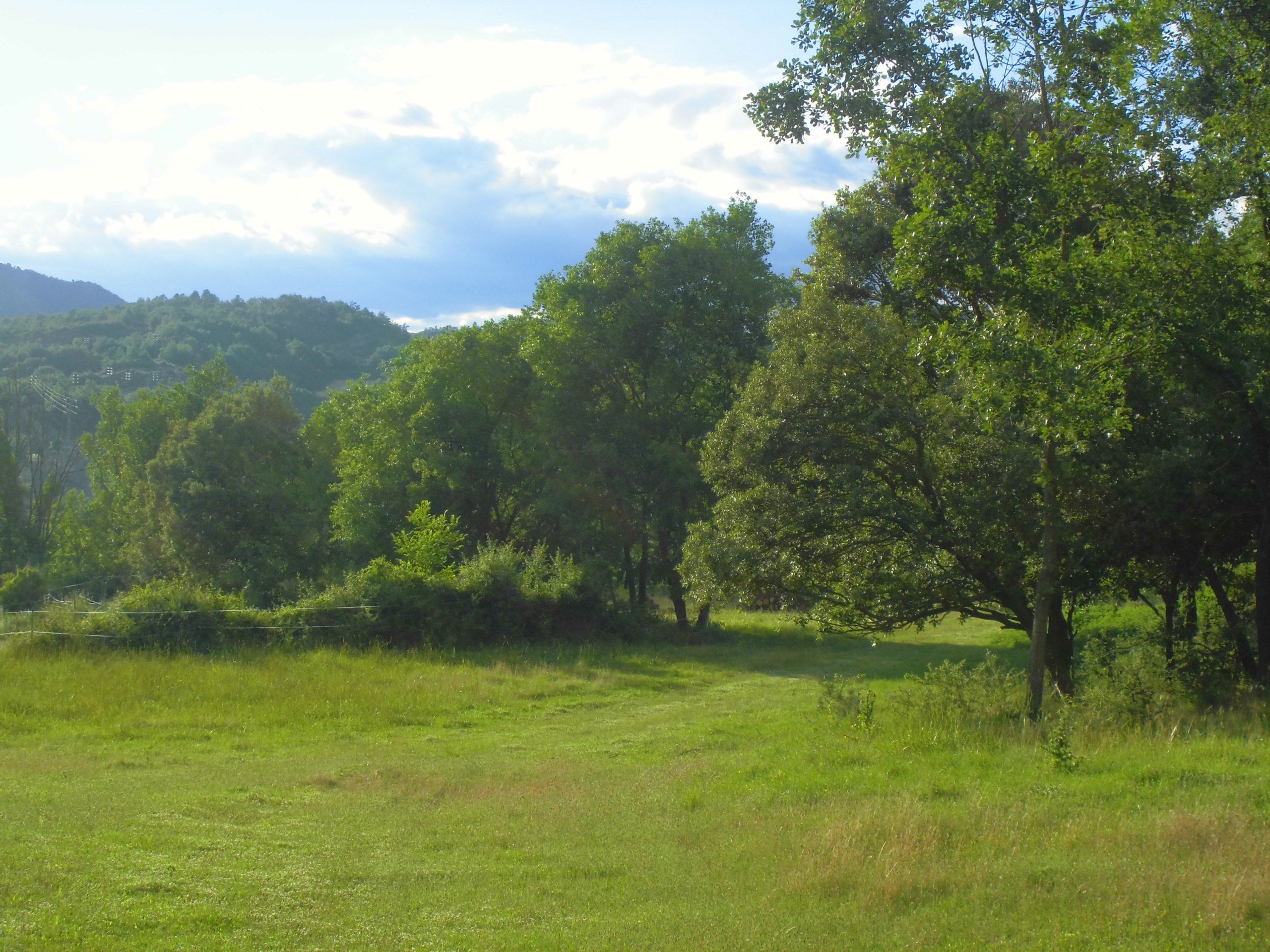 Bosc de Ca l'Anglada